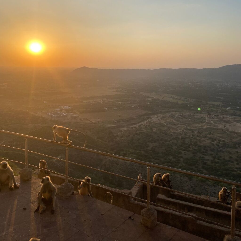 Pushkar- Timbuktu